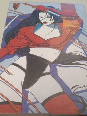 DC Comics Red Black Blue Female Superhero Art Cover